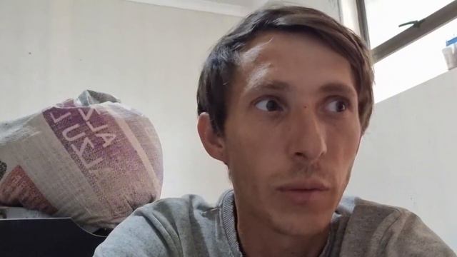 Сколько зарабатываю на выведении цыплят пароды Брамы с покупным яйцом. смотреть онлайн