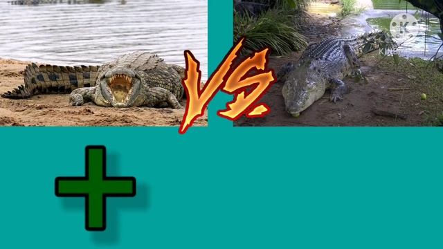 Нильский крокодил vs Гребнистый крокодил смотреть онлайн
