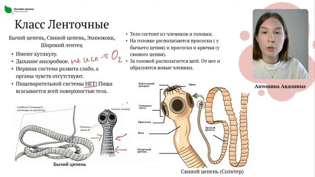 День 2. Тип Плоские черви | ОГЭ смотреть онлайн