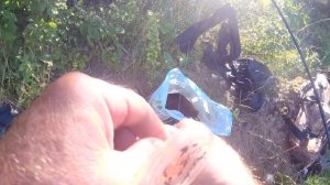 Рыбалка в ИЮЛЕ .  Ловля леща с берега на донную снасть .