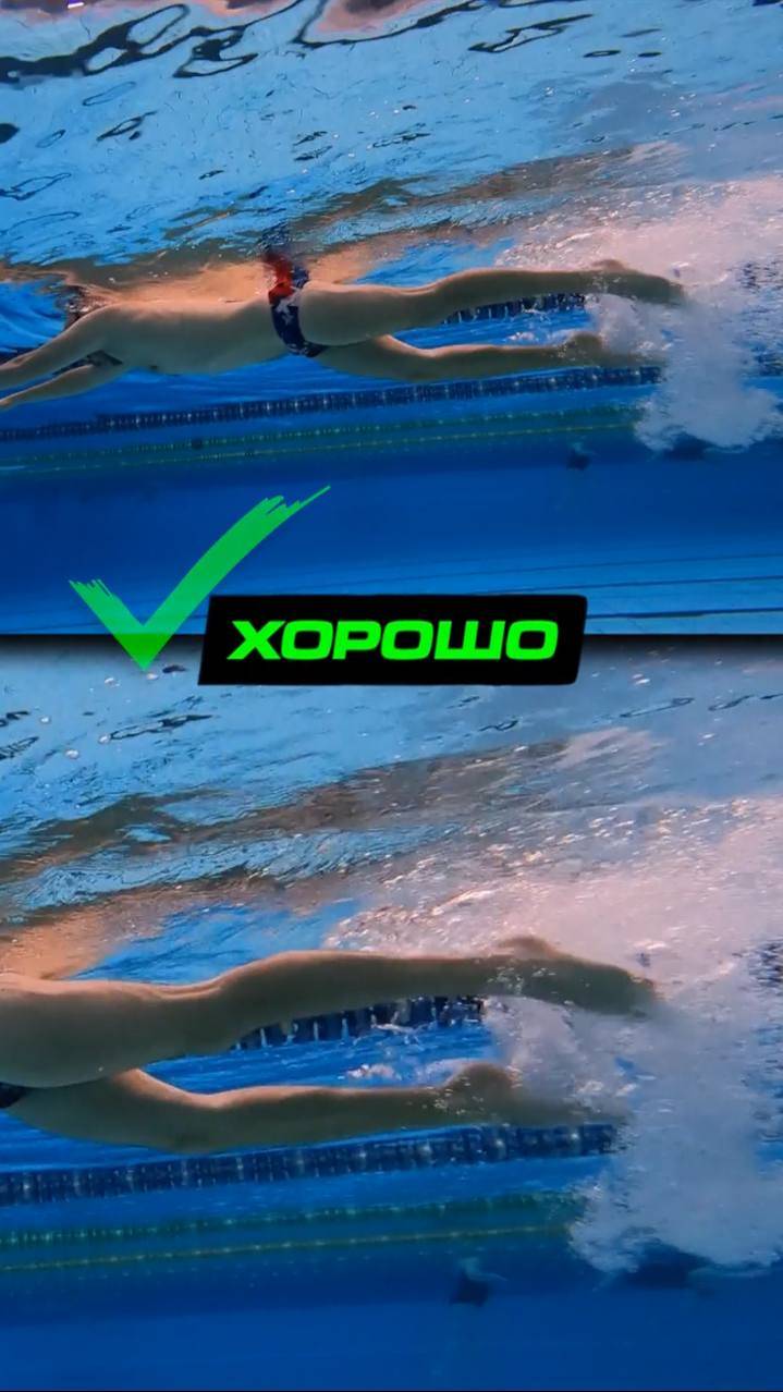 Найди ошибку - правильная работа ног при плавании кролем смотреть онлайн