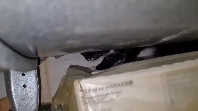 Осторожно! Моя болезнь заразительна. И нас таких много. смотреть онлайн