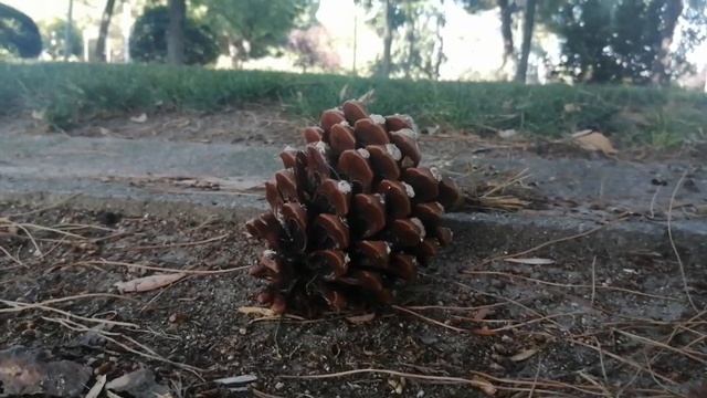 TALAVERA DE LA REINA смотреть онлайн