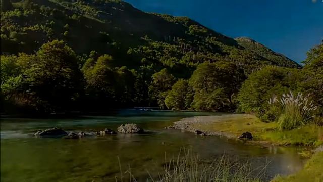 "Вода - чудесный дар природы" смотреть онлайн