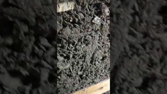 арболит через неделю. видимо нужна известь. смотреть онлайн