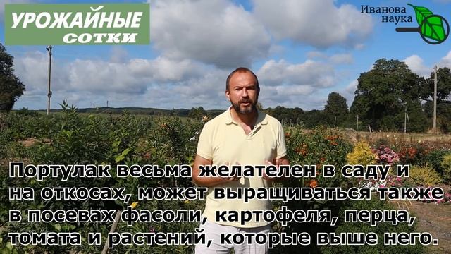 Строительная Рубрика