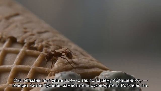 Как навсегда избавиться от СМС-спама смотреть онлайн