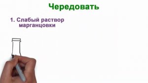 Чем полить лук, чтобы не желтел и был здоровым?