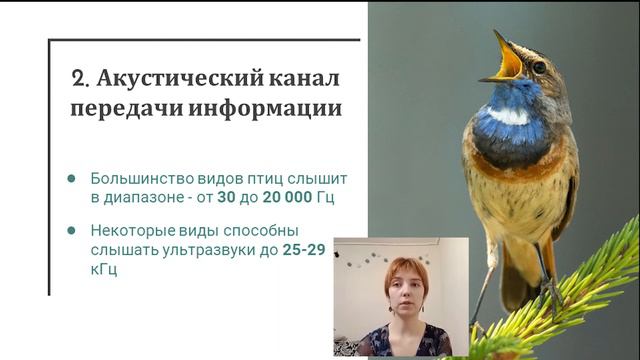 "Музеи ТГУ – детям о науке" Основные каналы передачи информации у птиц смотреть онлайн