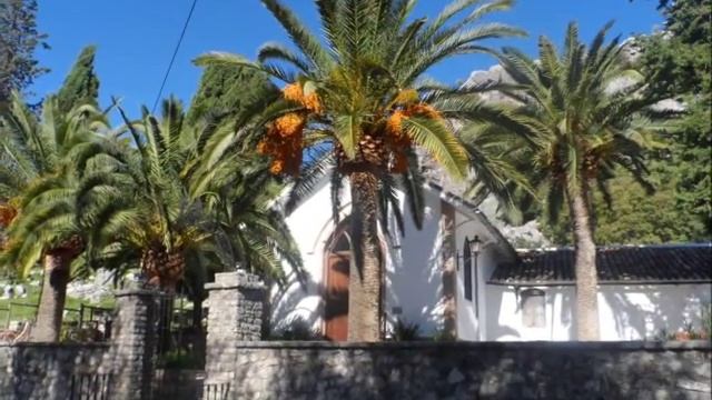 Путешествие в красивую деревеньку в горах, Грасалема, Ронда (ч.1), Испания, 8 ноября 2015 г смотреть онлайн