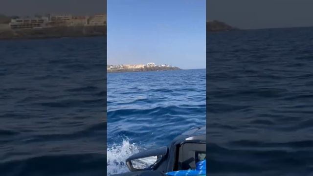 Увидела летающую рыбу на Тенерифе #гидроцикл #тенерифе #tenerife