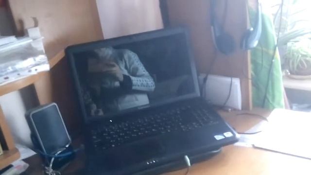 Челлендж - вызов принят!!! Укусила кошку за хвост! Жесть/ смотреть онлайн