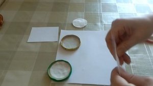 Посадка ежевики и малины из семян Часть 1