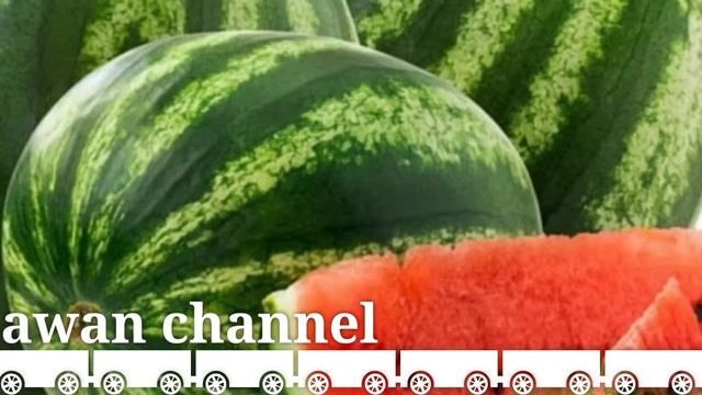 watermelon benefit & side effect/ in Urdu.Tarbooz ke fayde & nuksan.shafqat awan channel. смотреть онлайн