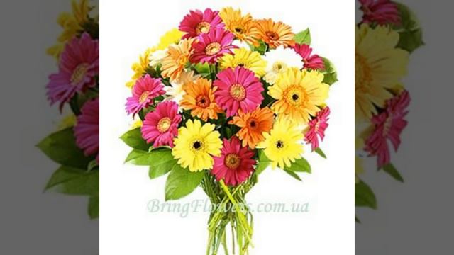 Природа цветы♥♥♥ смотреть онлайн