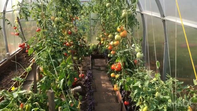 Мое хозяйство, или откуда деньги Зин. смотреть онлайн