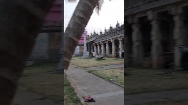 Кшаумбика Темпл, храм богини исполняющей желания за секунду смотреть онлайн