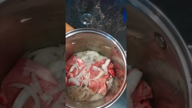 ШАШЛЫК ИЗ СВИНИНЫ НА КОСТИ смотреть онлайн