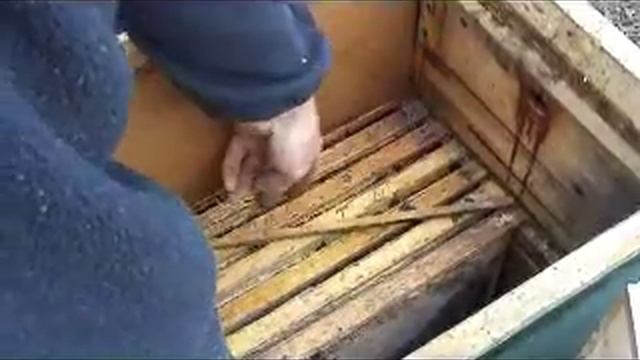 Зимовка пчел смотреть онлайн