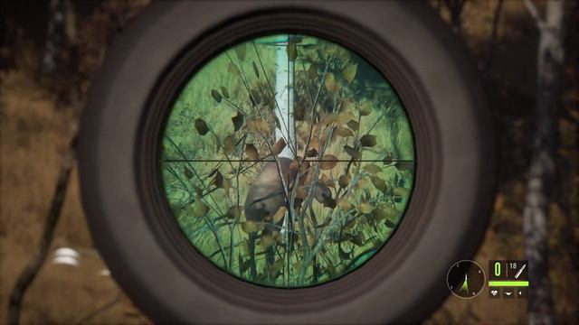 theHunter: Call of the Wild™ HD #24 Озерный край Лейтон (без комментариев) 1440p60 смотреть онлайн