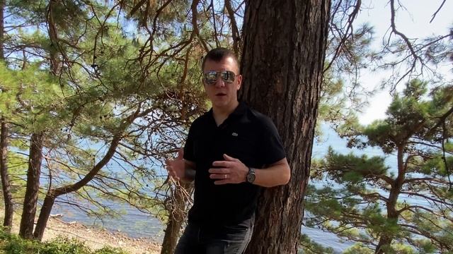 Просроченный временный ввоз больше года смотреть онлайн