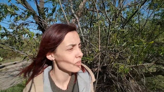 #РУНЫ для #самопознания. БЕРЕГИНЯ. ЗАЩИТА РОДА смотреть онлайн