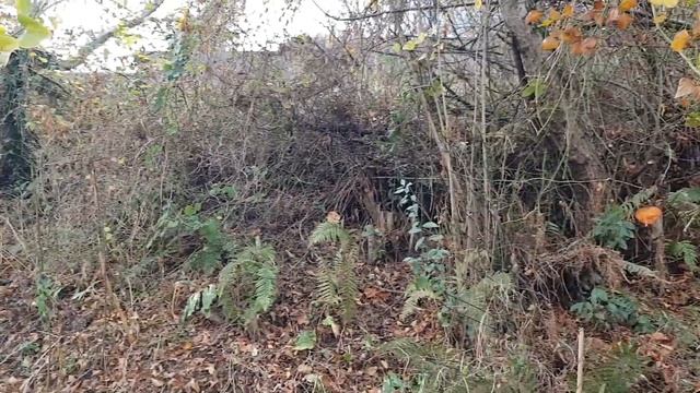 СОЧИ | ГЕОЛОГИЯ УЧАСТКА | Будем строить дом? смотреть онлайн