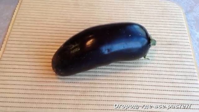 Урожайные сорта баклажанов.mp4 смотреть онлайн