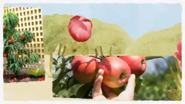 Clematis and Fruit Trees at Tagawa Gardens in Centennial C смотреть онлайн