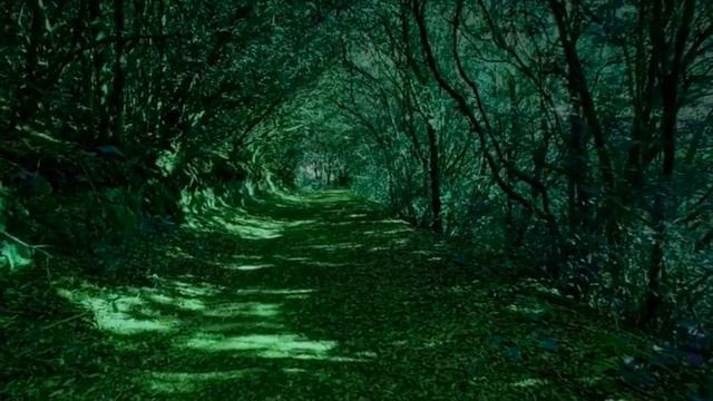 Meditación del Amor Benevolente - Metta Bhavana смотреть онлайн