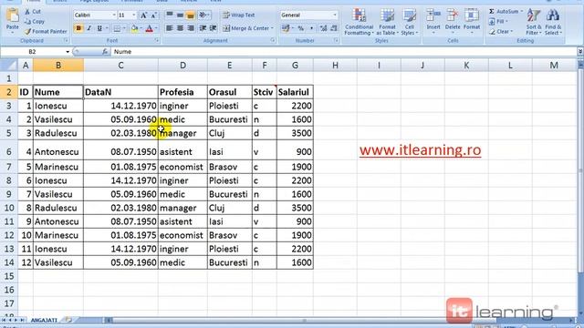 Excel 2007 - 36 Tabele Inteligente (Partea 1) смотреть онлайн