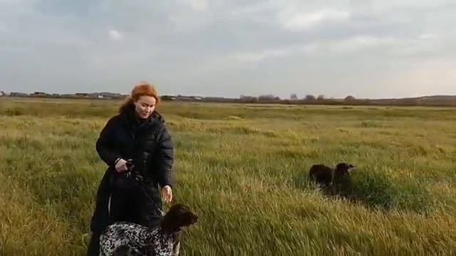 NOVSKIY натаска , коллективное занятие. смотреть онлайн
