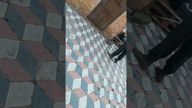 Как удалить траву между плиткой ? Эффективный способ ? смотреть онлайн