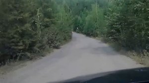 Ниссан террано  тест драйв