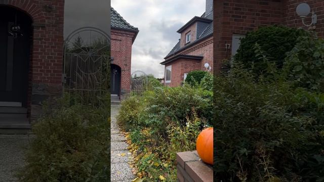 31 октября в Германии праздник День Реформации. А еще сегодня Хэллоуин. #Shortz # смотреть онлайн