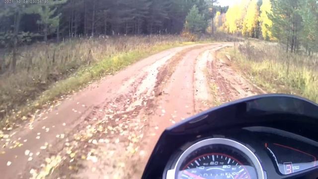 На мопеде Trickler по осеннему лесу смотреть онлайн