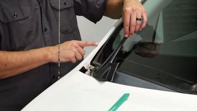 2011 -- 2020 Toyota Sienna, Cowl End Seals смотреть онлайн
