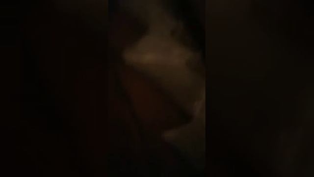 Вот так снимают жилье квартиранты айзербайджанцы. Над русской одинокой мамой издеваются. смотреть онлайн