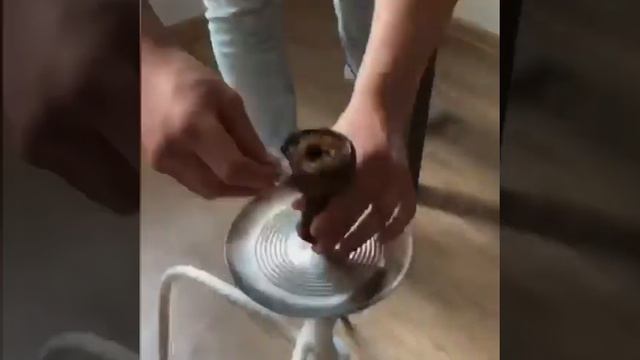 Кальян на дом смотреть онлайн