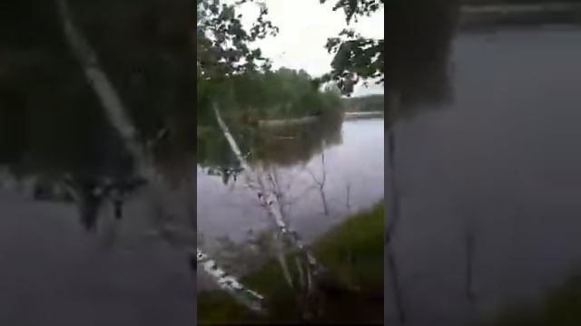 Готовимся к ночной рыбалке в Верховьях Зимы!) смотреть онлайн