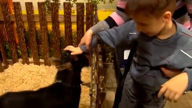 Крошка Енот и Детишки смотреть онлайн