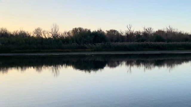 ЛесоВлог. Куда не доехали на УАЗе? Пеший выход на городской остров в Астрахани.