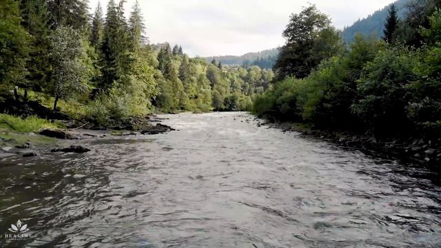 Música Relajante, Deja De Pensar • Flauta Curativa Tibetana • Elimina El Estrés Y Calma La Mente
