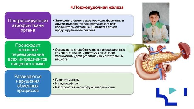 Особенности структурно-функциональных изменений органов пищеварения в пожилом возрасте Ч2.MP4 смотреть онлайн