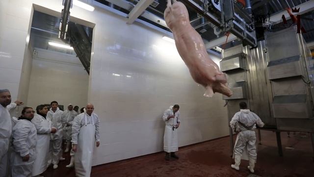 Запуск убойного завода смотреть онлайн