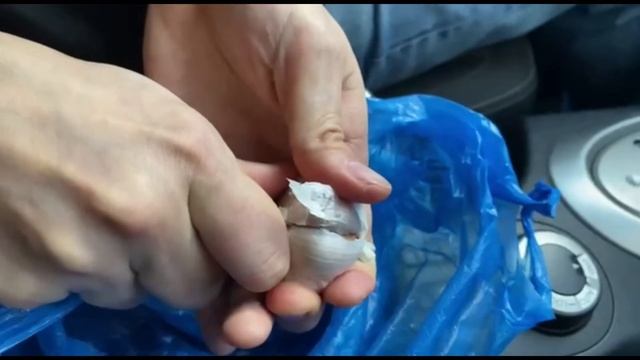 Способ крепкой фиксации автомобильной присоски регистратора при помощи чеснока смотреть онлайн