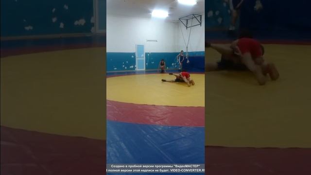 Олимпийский чемпион 2020г. смотреть онлайн