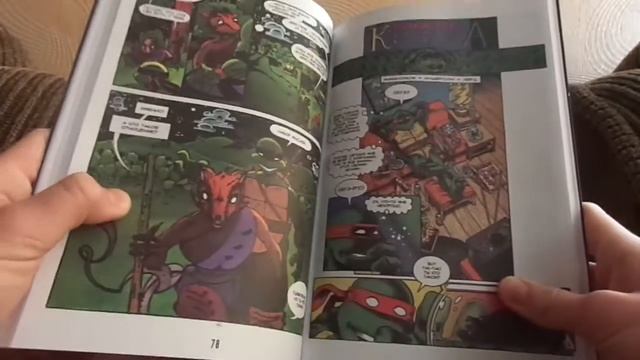 обзор на комикс черепаховый суп книга 1 смотреть онлайн