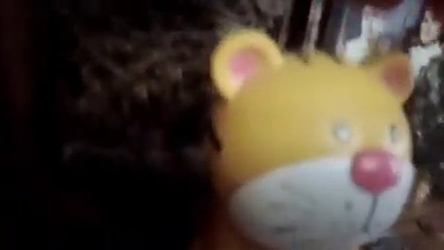 Кот Генка опять заболел и ему нужны деньги на лечение смотреть онлайн