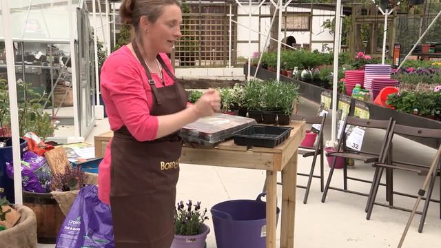 Create your own Hanging Basket with Jane McCorkell смотреть онлайн